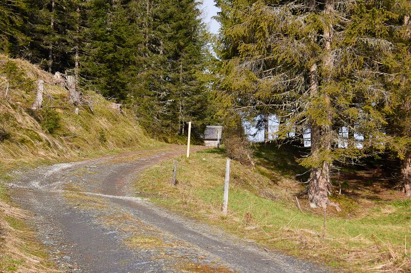 Datei:Stubeggsattel-0149-2021-05-24 07.37.27.jpg