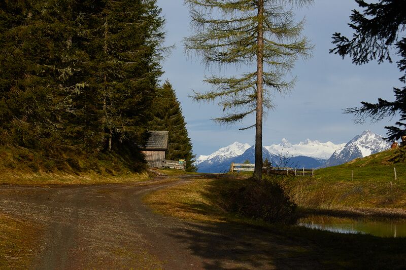 Datei:Stubeggsattel-0153-2021-05-24 07.38.01.jpg