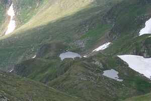 Talkenschrein 1144 13-07-10.jpg