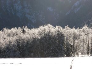 Untertal 5866 2006-01-16.jpg