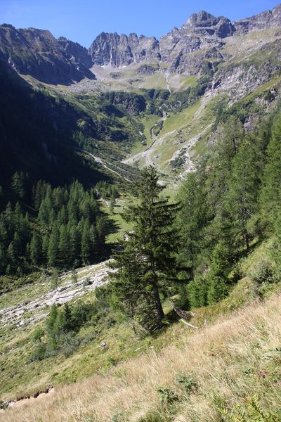 Datei:Zwilling lassachkar 99431 2015-08-28.jpg