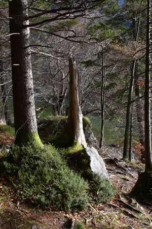 Altausseer See 78933 2014-11-15.jpg