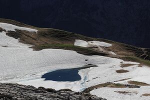 Augstsee loser 50374 2017-06-11.jpg