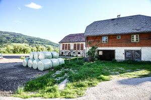 BH vlg huber niederstuttern-1001-2013-05-15.jpg