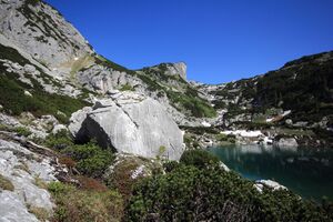 Dreibrüdersee 77435 2018-06-04.jpg