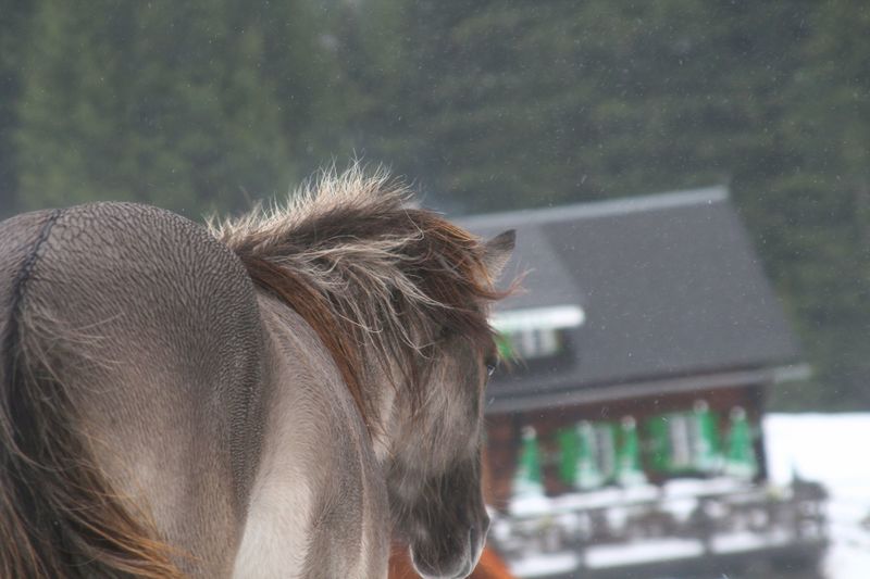 Datei:Duisitzkar 0153 2007-09-07.jpg