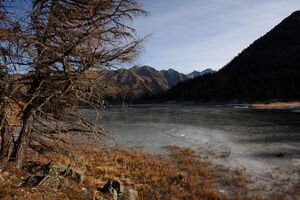 Duisitzkarsee 14312 2011-11-30.jpg