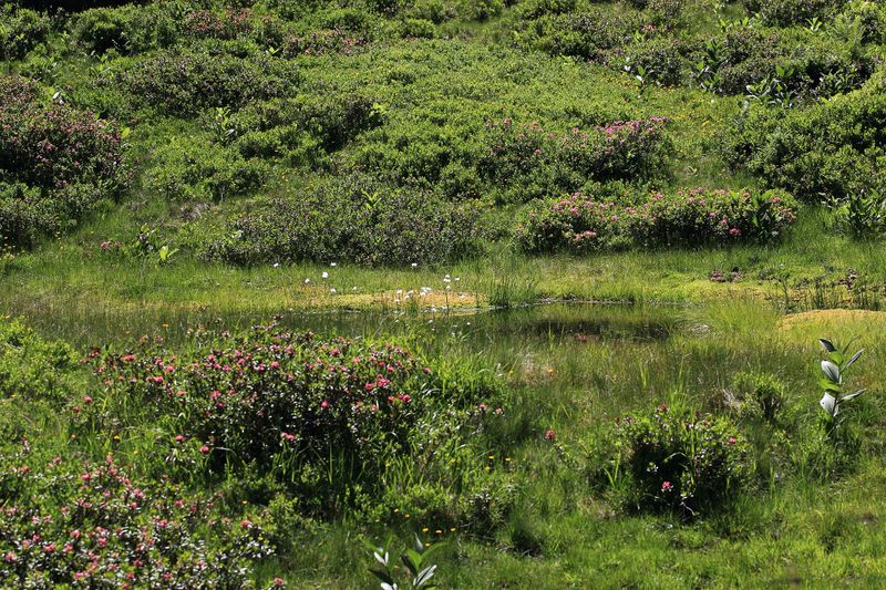 Datei:Gumpenkar 53184 2017-07-05.jpg