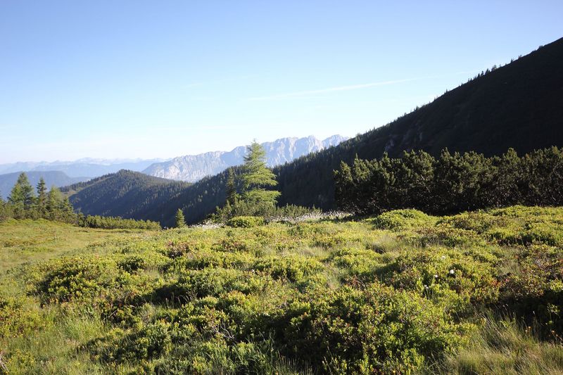 Datei:Gumpenkar 53215 2017-07-05.jpg