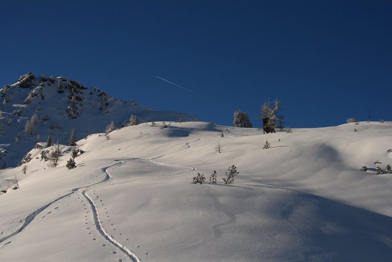 Datei:Höllermahd-preunegg 94351 2007-11-28.jpg