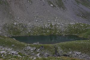 Knappensee westliche-12-2014-08-07.jpg