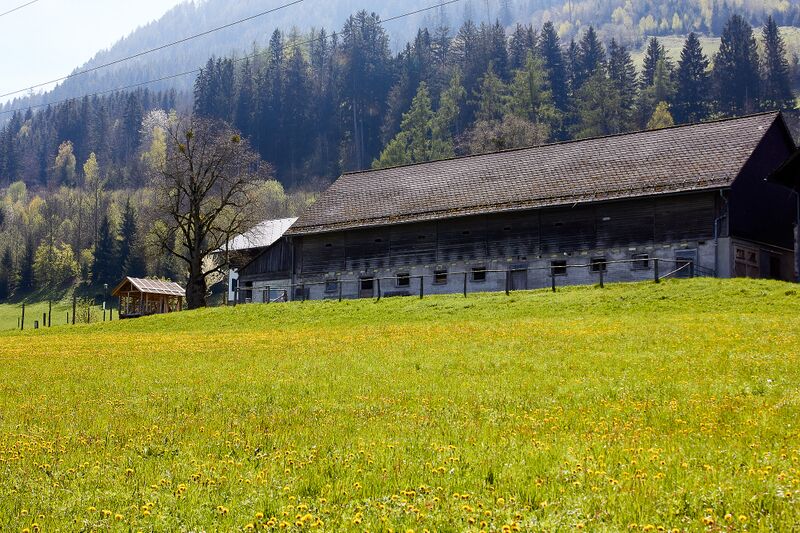 Datei:Nichtlgut burgfried-300181-2023-05-04.jpg