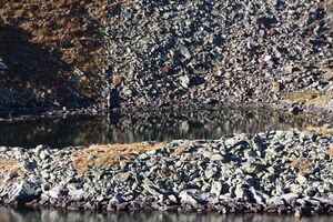 Oberer Wiegensee 75865 2014-10-18.jpg