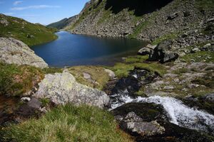 Pfannsee planaiHW 0904 2011-08-11.jpg