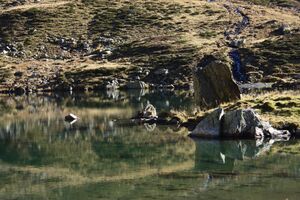 Rantensee 75052 2014-10-19.jpg