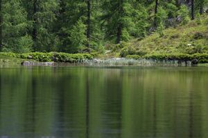 Schobersee 93218 2015-06-26.jpg