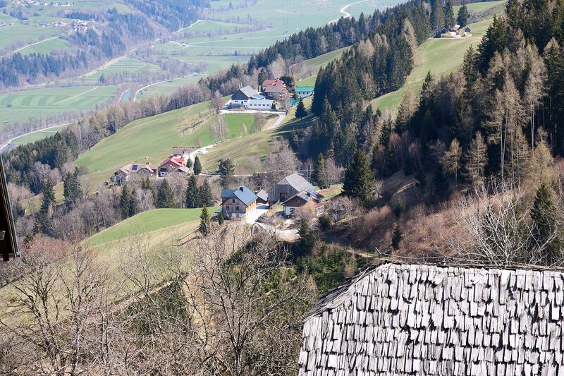 Datei:Steinbauer michaelerberg ost 35-0023-2025-04-09.jpg