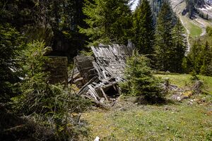 Untere koderalm-2011-2020-05-18-2.jpg