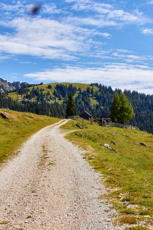 Bärenfeichtenalm-3148-2021-08-03.jpg
