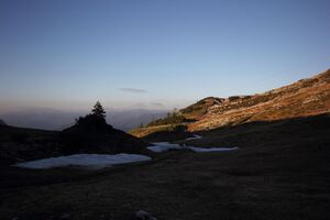 Bräuningalm 51012 2017-06-11.jpg