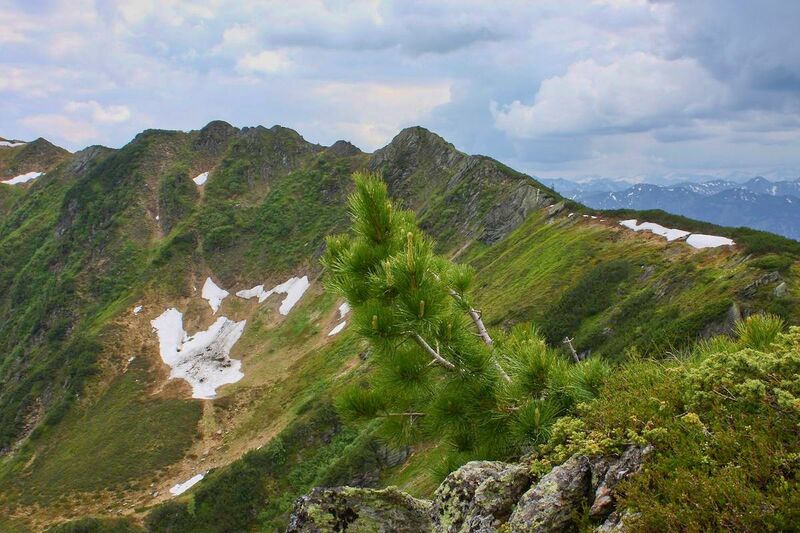 Datei:Edelweißspitze-wölzer tauern 84582 2014-06-18.jpg