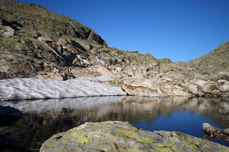 Datei:Goldlacken 0444 2008-08-12.jpg