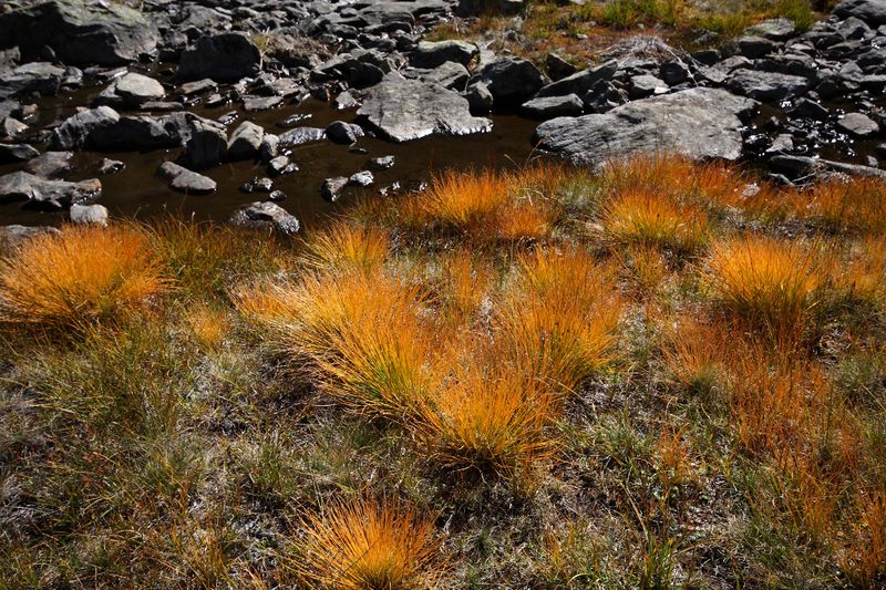 Datei:Grünsee-großsölk 1315 2013-09-25.jpg
