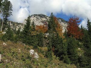 Hochtausing 5962.JPG