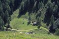 Kraiterhütte patzenalm 11344 2019-08-01.jpg