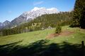 Niederscheibenalm Gesäuse-10-2021-05-26-3.jpg