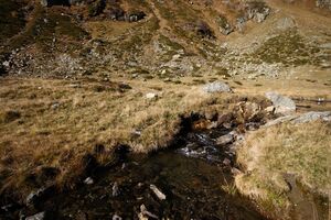 Rantensee 75047 2014-10-19.jpg