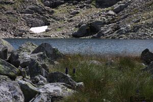 RauhbergseeIMG 8439.jpg