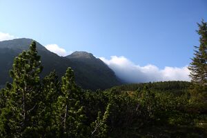 Schattenkogel hochwebersp 90216 2015-06-08.jpg