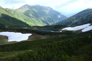 Untere riednersee 65411 2014-06-26.jpg