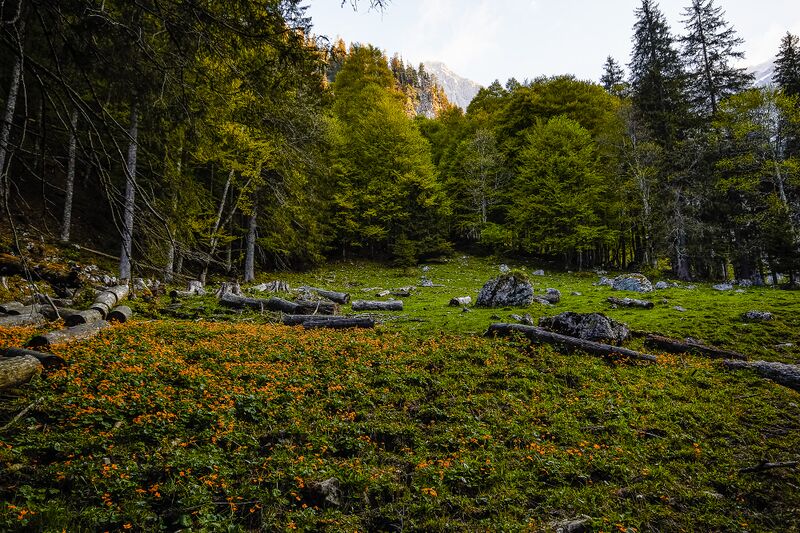 Datei:Unterer koderboden-3102-2020-05-18.jpg