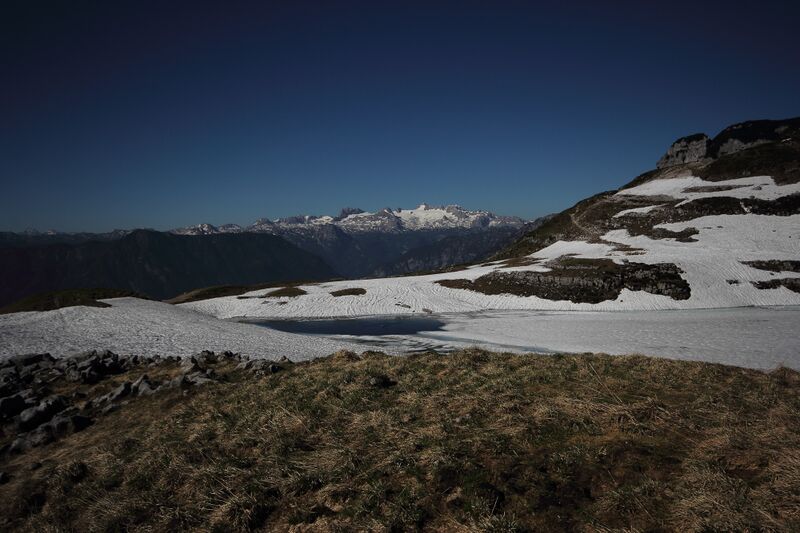 Datei:Augstsee loser 50326 2017-06-11.jpg