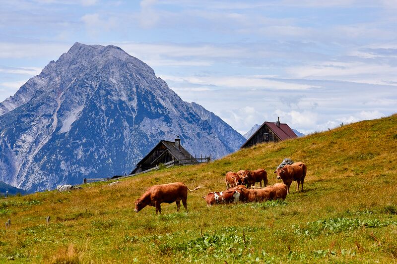 Datei:Bärenfeichtenalm-3201-2021-08-03.jpg