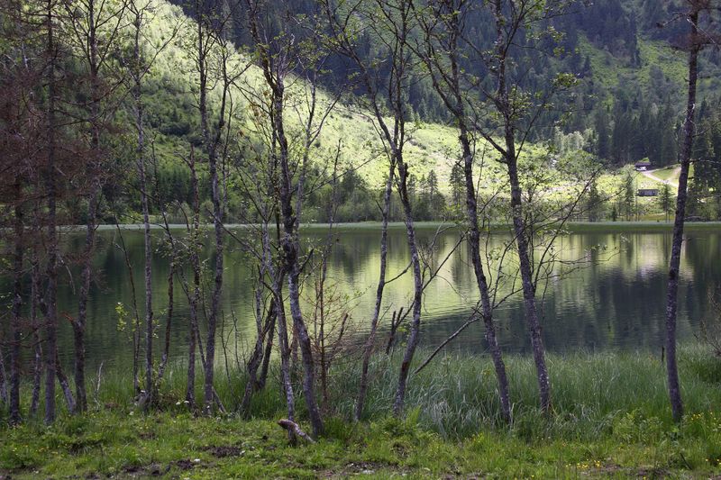 Datei:Bodensee seewigtal 63458 2014-06-21.jpg