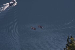 Grundelsee 2359 2011-09-24.jpg