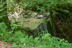 Hundsgraben unterlaussa-0253-2025-06-18.jpg