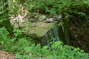 Hundsgraben unterlaussa-0253-2025-06-18.jpg