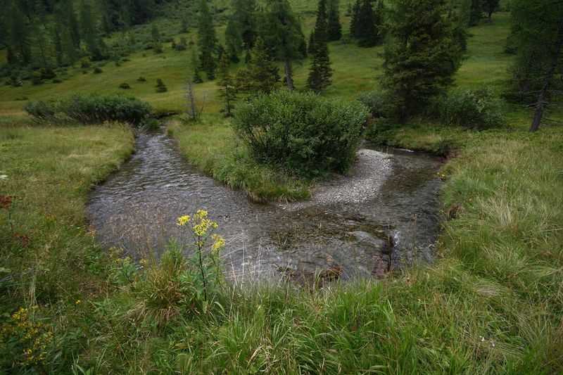 Datei:Knallbach knallalm 55599 2016-08-17.jpg