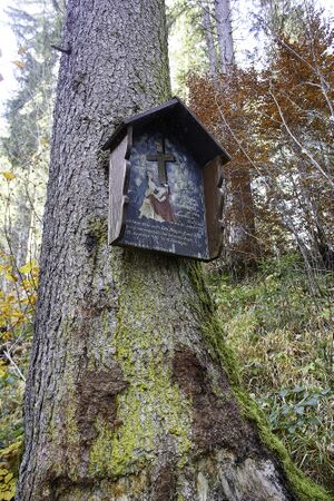 MA leo neuper-0008-2021-10-30.jpg