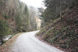 Mittereggtal 63547 2017-11-02.jpg