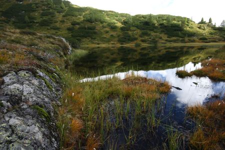 Nördl see vom griegelsee 80020 2014-09-16.jpg