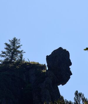 ND 600 Türkenkopf-0383-2025-06-18.jpg