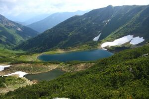 Untere riednersee 65412 2014-06-26.jpg