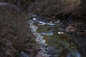 Walchental 43602 2014-02-26.jpg