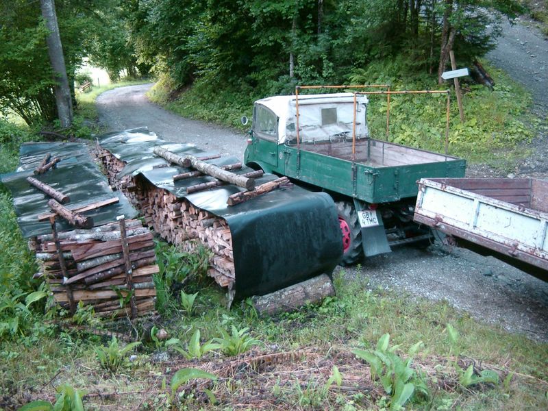 Datei:Windwurf9 Scheiter.jpg