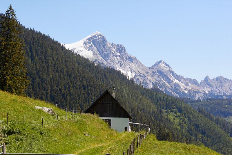 Datei:Angeralm ardningalm-1002-2022-05-31.jpg